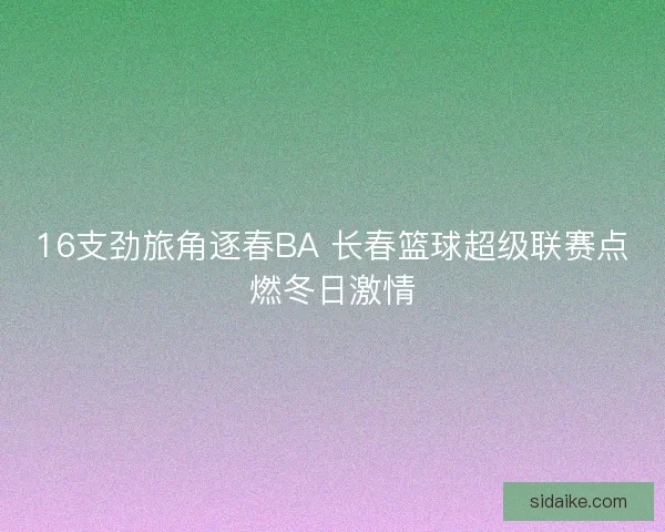 16支劲旅角逐春BA 长春篮球超级联赛点燃冬日激情